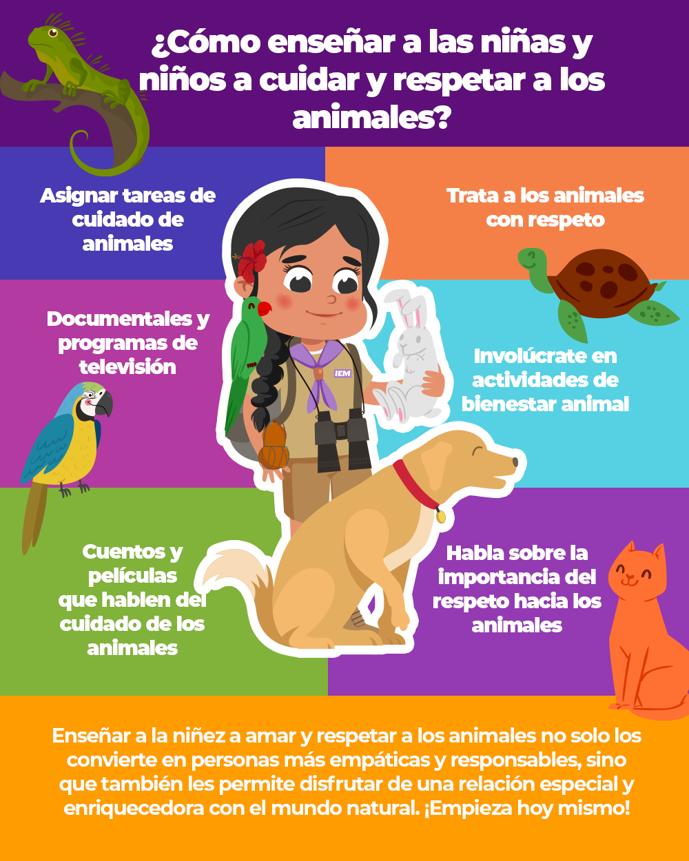 Imagen de la infografía uno