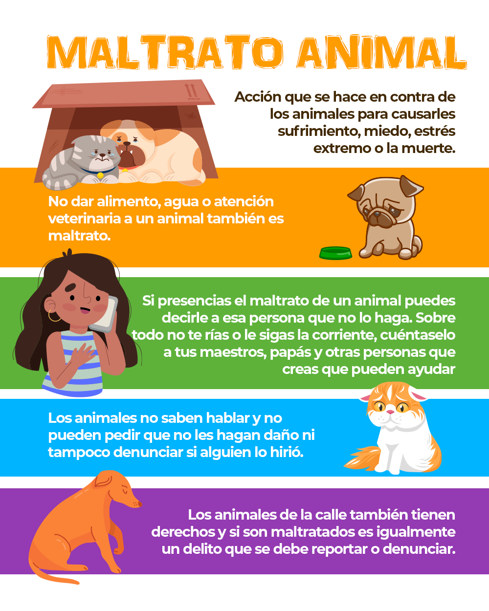 Imagen de la infografía dos