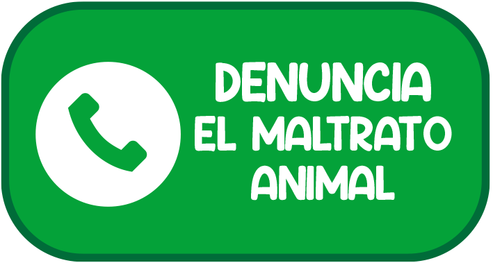 Llamar para denunciar maltrato animal