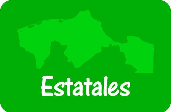 Imagen de enlace a Estatales