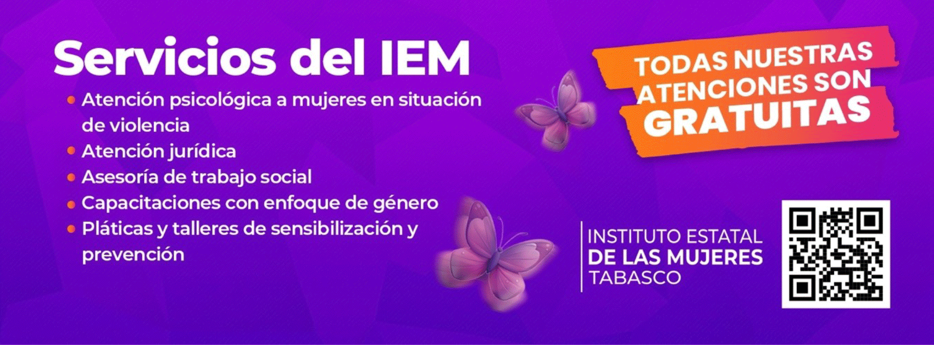 Imagen de los Servicios del IEM