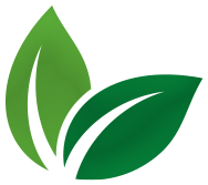 Icono de hojas verdes